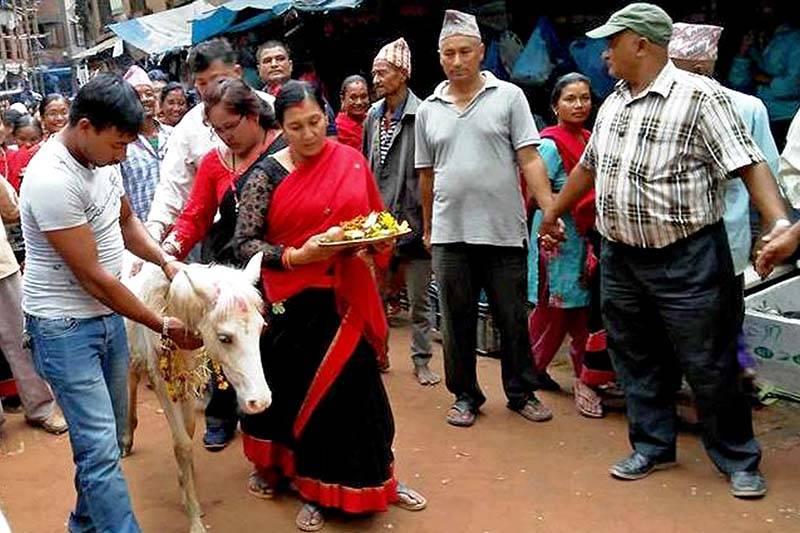 भक्तपुरमा तलेजुको वाहन सेतो घोडा जात्रा मनाइयो